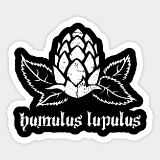 Humulus Lupulus | Beer IPA Graphic Sticker